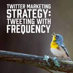 Twitter Marketing Strategy: Tweeting with Frequency