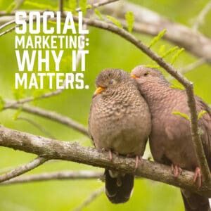 Social Marketing: Why it matters.