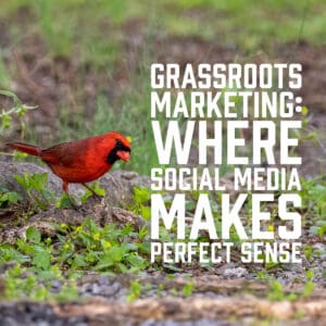 Grassroots Marketing: Where Social Media Makes Perfect Sense