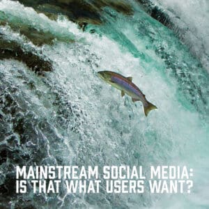 Mainstream Social Media: Is That What Users Want?