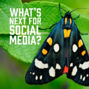 What’s Next For Social Media?