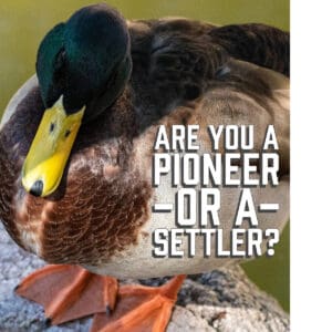 Are You a Pioneer or a Settler?