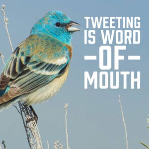 Tweeting is Word of Mouth