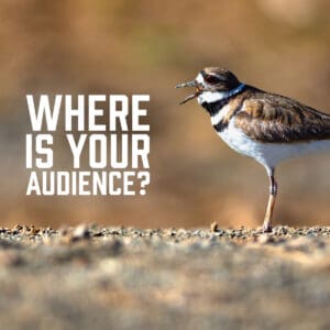 Where is Your Audience?