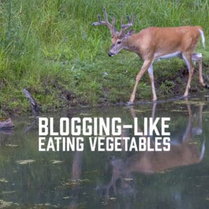 Blogging-Like Eating Vegetables