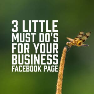 3 Little Must Do's for your Business Facebook Page