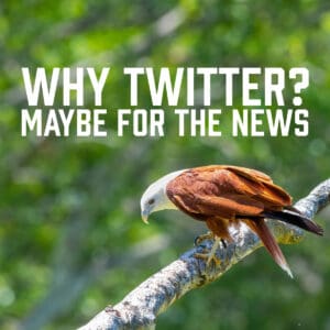 Why Twitter? Maybe for the News