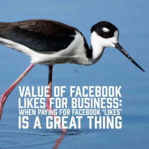 Value of Facebook Likes for Business