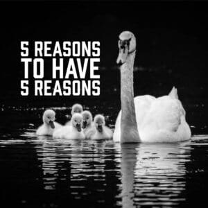 Benefits of Numbered Blog Posts: 5 Reasons To Have 5 Reasons