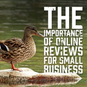 The Importance of Online Reviews For Small Business