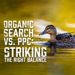 Organic Search vs. PPC
